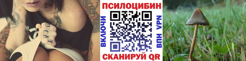 Галлюциногенные грибы Magic Shrooms  Райчихинск 